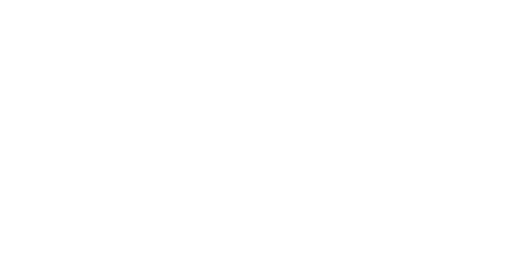 LVNL